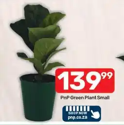 Pick n Pay Hypermarket PnP Green Plant Small offer