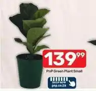 Pick n Pay Green plant small offer