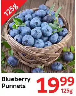 Oxford Freshmarket Blueberry Punnets offer