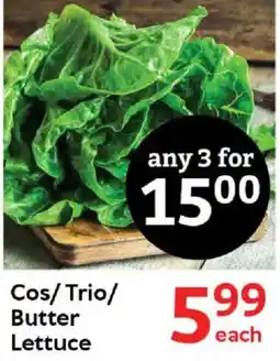 Oxford Freshmarket Cos/Trio/Butter Lettuce offer