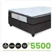 Fair Price Base Set Naples Signorini Queen 110kg offer