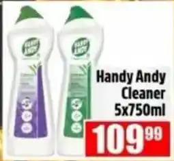Devland Cash And Carry Handy Andy Cleaner offer
