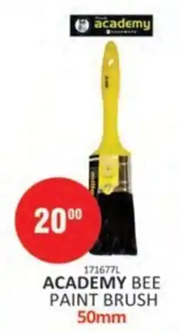 KitKat Cash and Carry ACADEMY BEE PAINT BRUSH offer