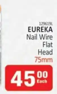 KitKat Cash and Carry EUREKA Nail Wire Flat Head 75mm offer