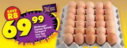 Shoprite Ritebrand - large eggs offer