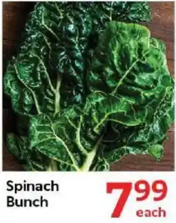 Oxford Freshmarket Spinach Bunch offer