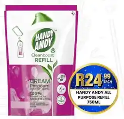 Take 'n Pay HANDY ANDY ALL PURPOSE REFILL offer