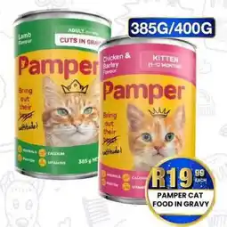Take 'n Pay Pamper Cat Food in Gravy offer