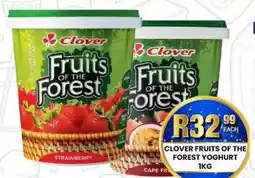 Take 'n Pay Clover Fruits of the Forest Yoghurt offer