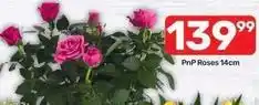 Pick n Pay Roses offer