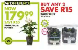 Woolworths Blueberries offer
