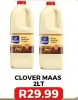 Saverite Clover Maas Medium Cream offer
