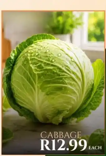CABBAGE