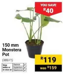 Builders Warehouse 150 mm Monstera Pot offer