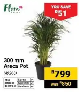Builders Warehouse Flora Areca Pot offer