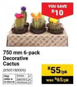 Builders Warehouse 750 mm 6-pack Decorative Cactus offer