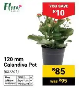 Builders Warehouse Flora Calandiva Pot offer