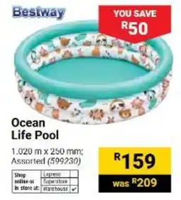 Builders Warehouse Bestway Ocean Life Pool Assorted offer