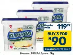 Pick n Pay Hypermarket Blossom 25% Fat Spread offer
