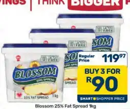 Pick n Pay Hypermarket Blossom 25% Fat Spread 1kg offer