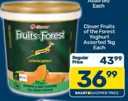 Pick n Pay Clover Fruits of the Forest Yoghurt Assorted 1kg Each offer