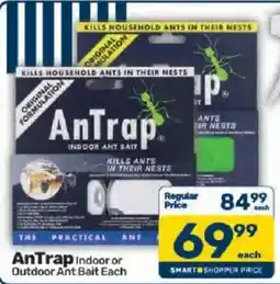 Pick n Pay AnTrap Indoor or Outdoor Ant Bait offer