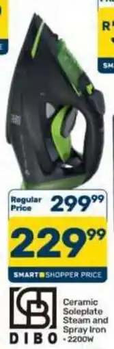 Pick n Pay Hypermarket Ceramic Soleplate Steam and Spray Iron offer