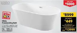 Builders Warehouse Olivia Freestanding Bath offer