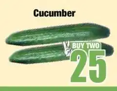 Boxer Cucumber offer