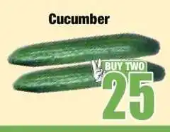 Boxer Cucumber offer