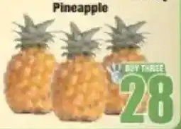Boxer Pineapple offer