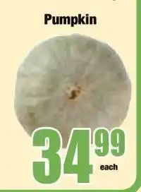 Boxer Pumpkin offer