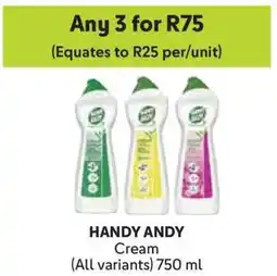 Makro HANDY ANDY offer