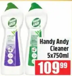 Devland Cash And Carry Handy Andy Cleaner offer