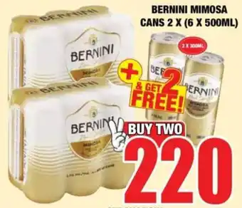 Bernini Mimosa