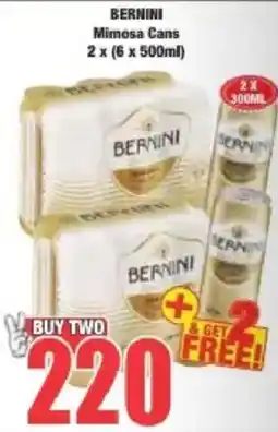 Boxer Bernini Mimosa Cans offer