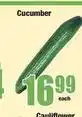 Boxer Cucumber offer
