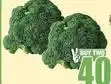 Boxer Broccoli offer