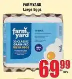 Boxer Large eggs offer