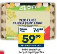 Pick n Pay Free range canola eggs large offer