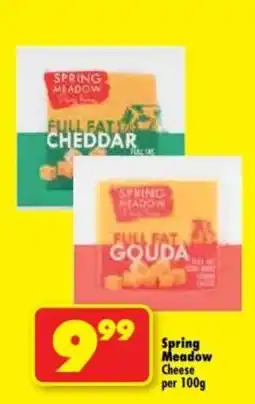 Shoprite Spring Meadow Cheese offer