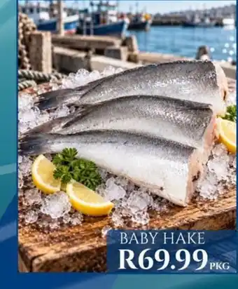 Baby Hake