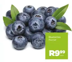 Save Blueberries Punnet offer