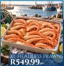 Take 'n Pay Xl headless prawns offer