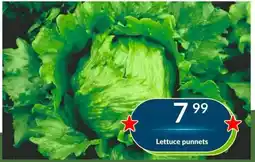 Super Save Lettuce punnets offer