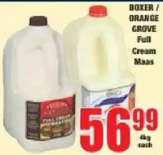 Boxer BOXER / ORANGE GROVE Full Cream Maas offer