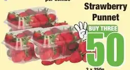Boxer Superstores Strawberry Punnet offer