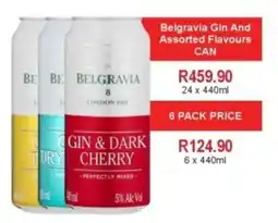Johnny's Liquor Hypermarket Belgravia Gin And Assorted Flavours offer