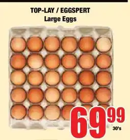Boxer TOP-LAY / EGGSpert Large Eggs offer