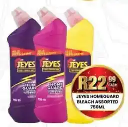 Take 'n Pay Jeyes Homeguard Bleach Assorted offer